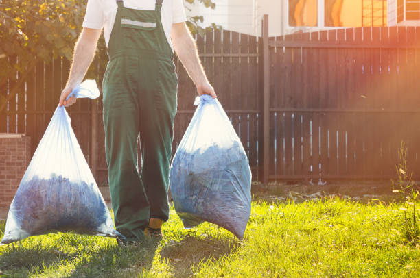 Best Shed Removal  in Stanton, MI